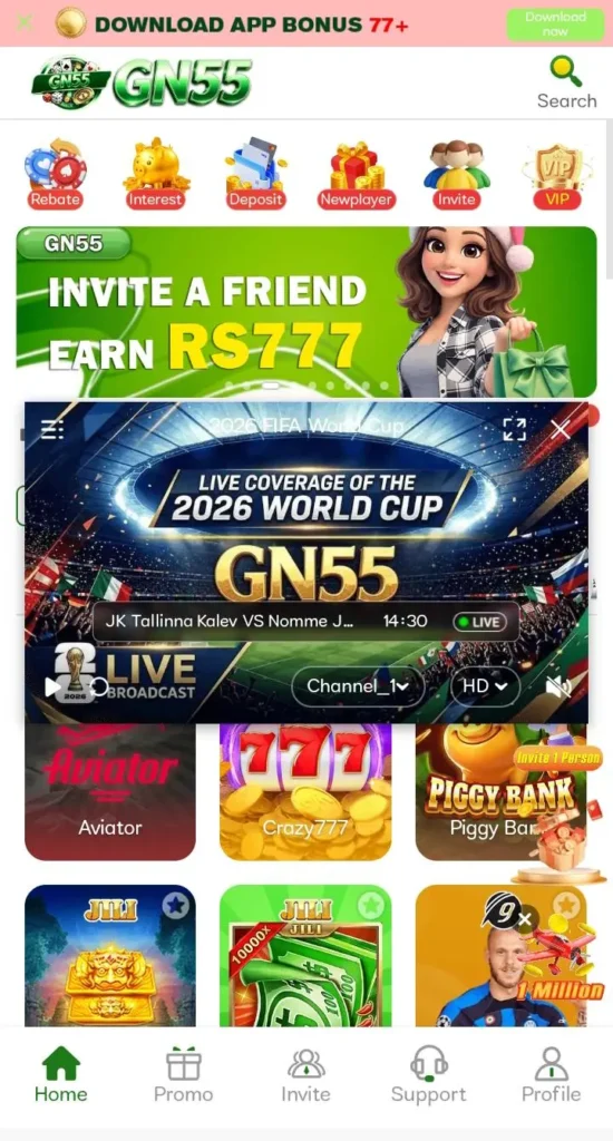 GN 55 Game Interface